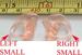 20X KJSHELBSM Small Left & Right Ear Lobe for Coil tube